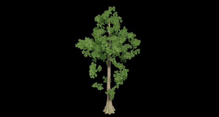 UE项目资源_植物265