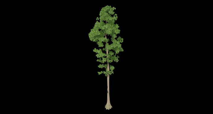 UE项目资源_植物264