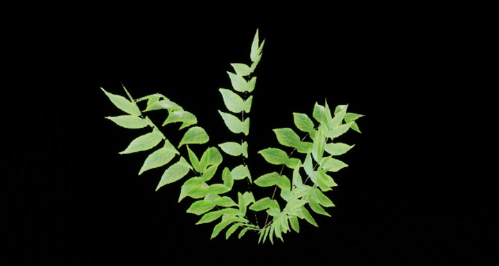 UE项目资源_植物257
