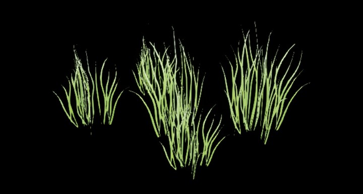 UE项目资源_植物255