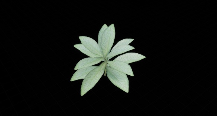 UE项目资源_植物254