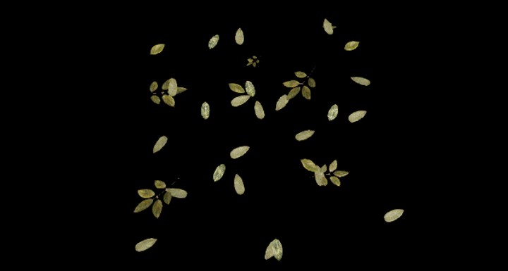 UE项目资源_植物252