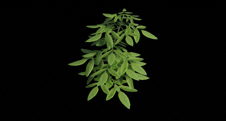 UE项目资源_植物249