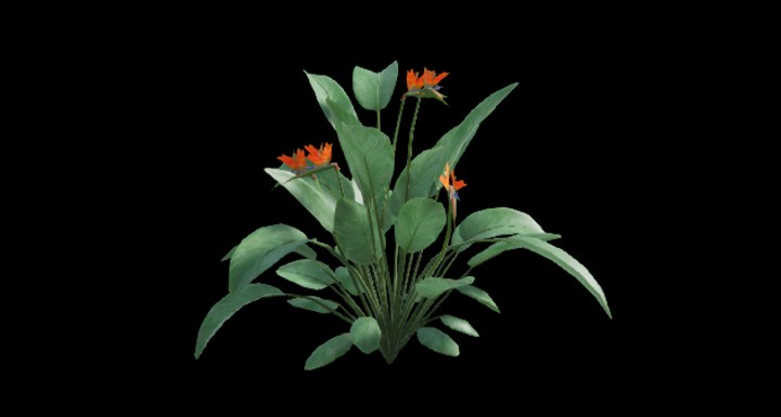 UE项目资源_植物233