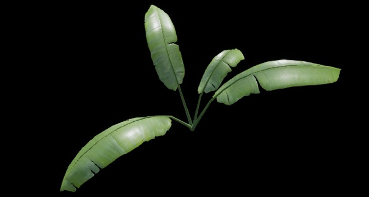 UE项目资源_植物232