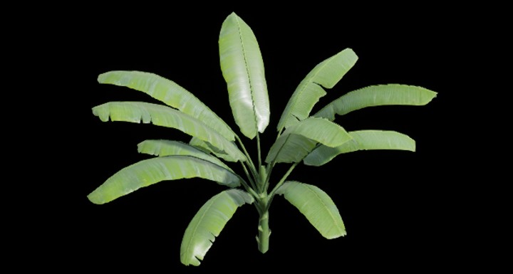 UE项目资源_植物230