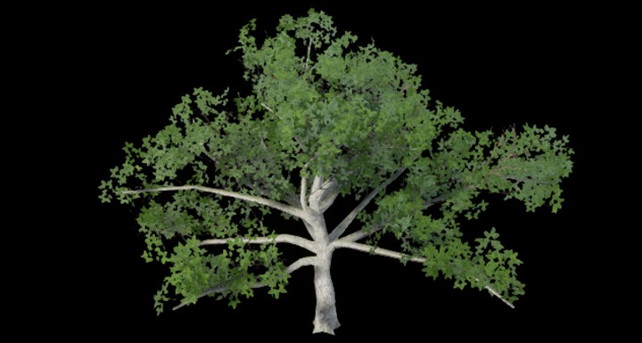 UE项目资源_树245