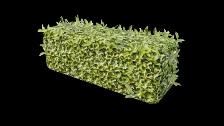 UE项目资源_植物275