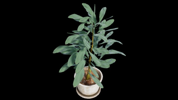 UE项目资源_植物272