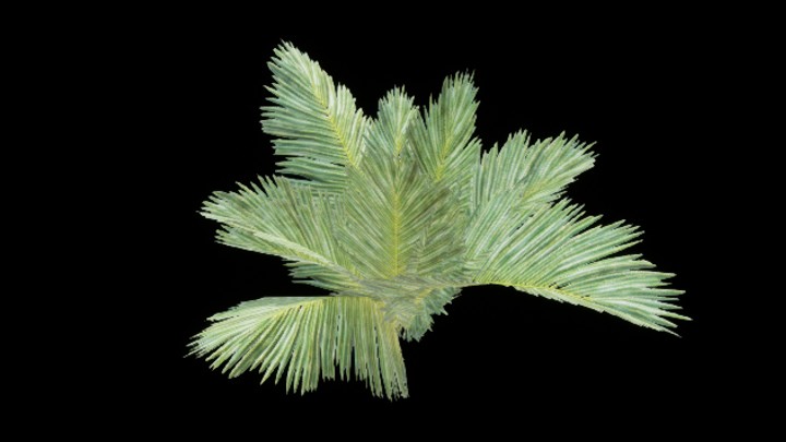 UE项目资源_植物295