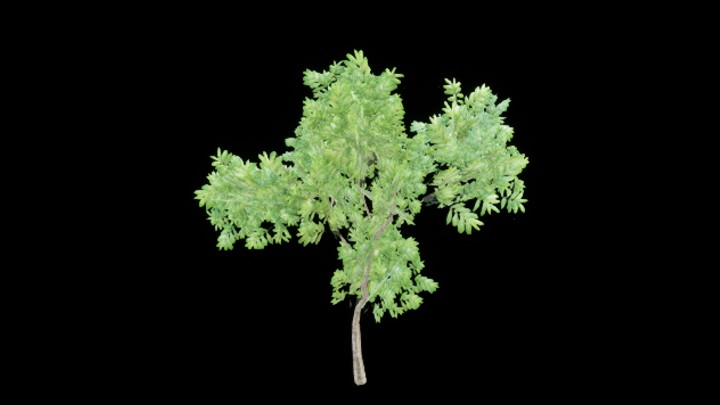 UE项目资源_植物298