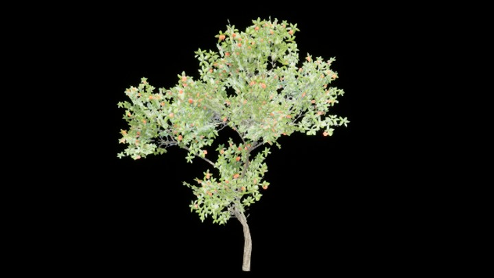 UE项目资源_植物299