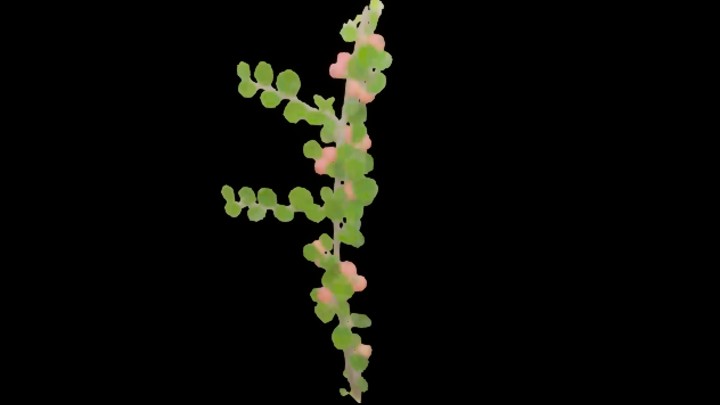 UE项目资源_植物324