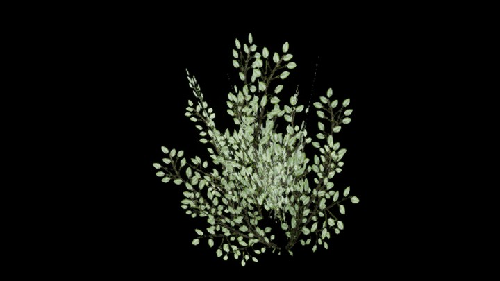 UE项目资源_植物325