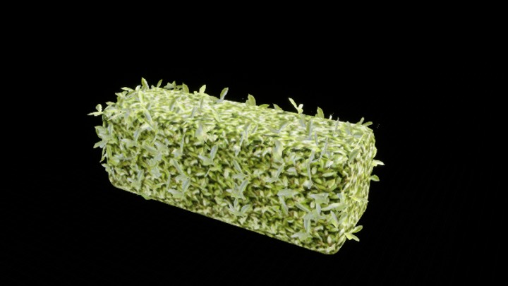 UE项目资源_植物333