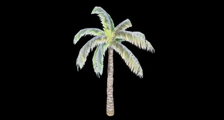 UE项目资源_椰树008