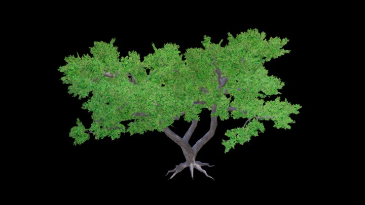 UE项目资源_植物346