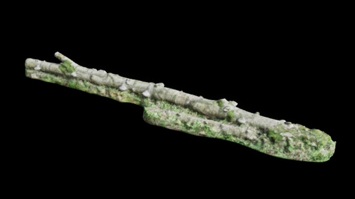 UE项目资源_树干005