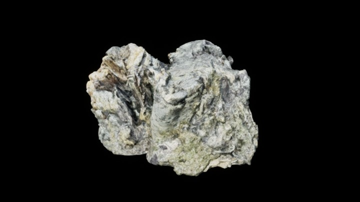 UE项目资源_树干020