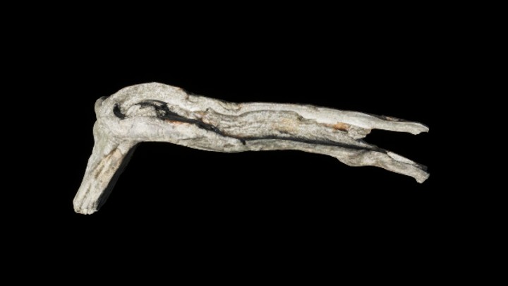 UE项目资源_树干021