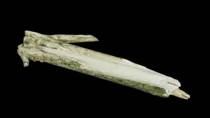 UE项目资源_树干026