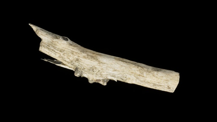 UE项目资源_树干028