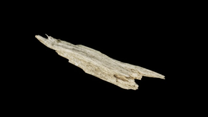 UE项目资源_树干042