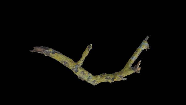 UE项目资源_树干046