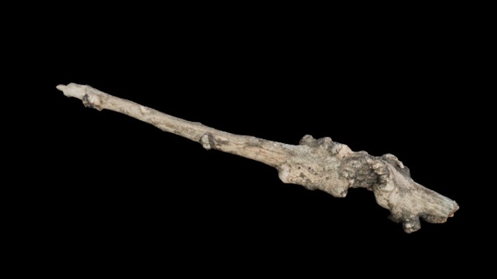 UE项目资源_树干051