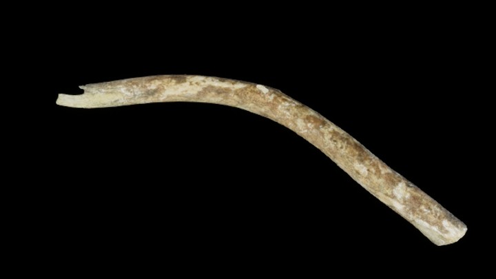 UE项目资源_树干058