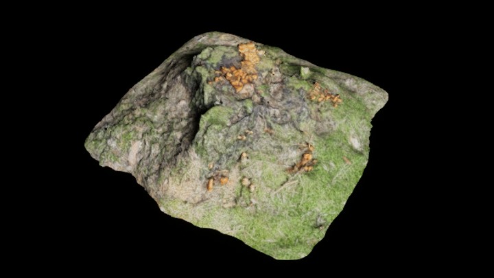 UE项目资源_树桩027