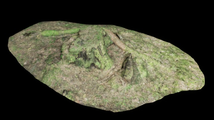 UE项目资源_树桩033