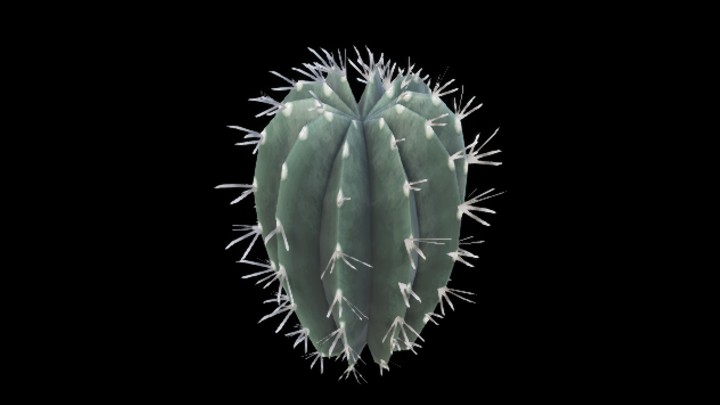 UE项目资源_仙人掌016