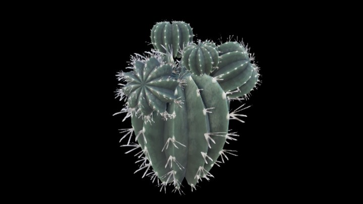 UE项目资源_仙人掌017