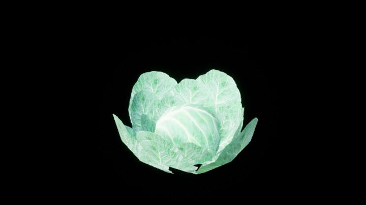 UE项目资源_模型资源_包菜001