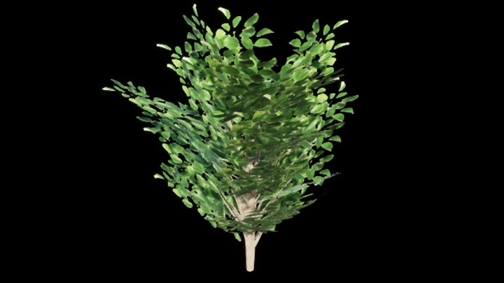 UE项目资源_模型资源_果树005