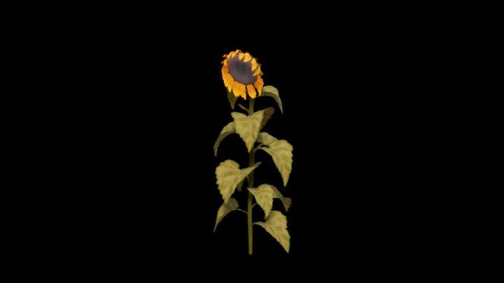 UE项目资源_模型资源_植株014