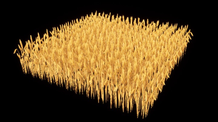 UE项目资源_模型资源_植株029