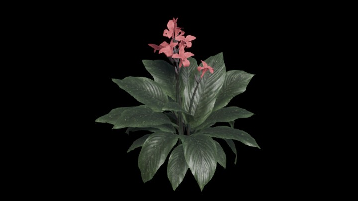 UE项目资源_模型资源_植物391