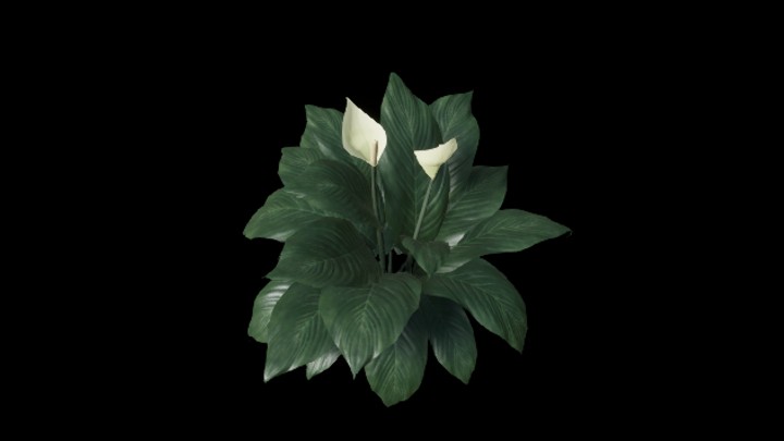 UE项目资源_模型资源_植物394