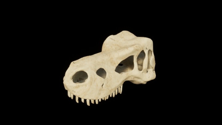 UE项目资源_模型资源_残骸038