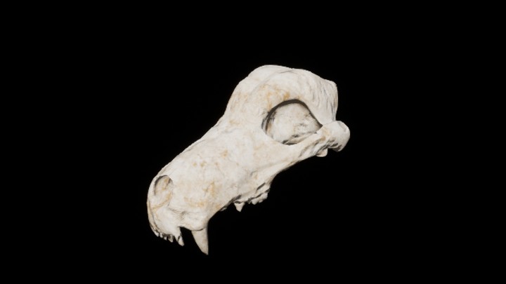 UE项目资源_模型资源_残骸040