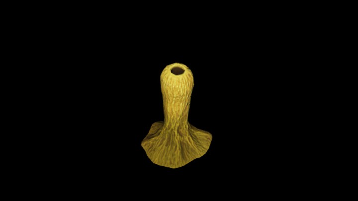 UE项目资源_模型资源_珊瑚004