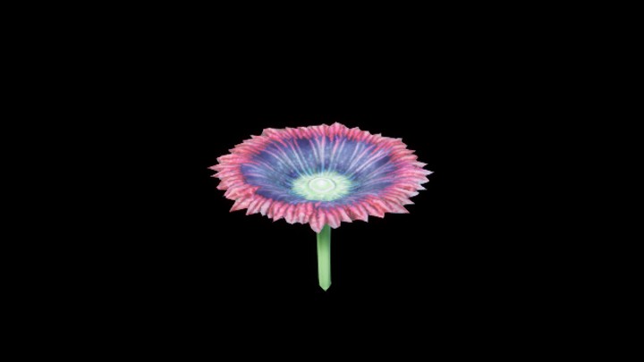 UE项目资源_模型资源_珊瑚011