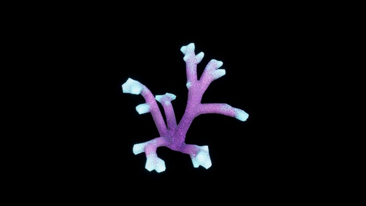 UE项目资源_模型资源_珊瑚017