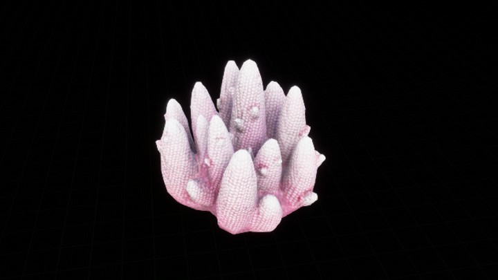 UE项目资源_模型资源_珊瑚027