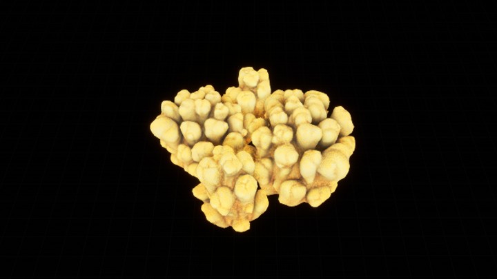 UE项目资源_模型资源_珊瑚丛006