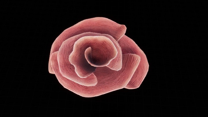 UE项目资源_模型资源_珊瑚丛018