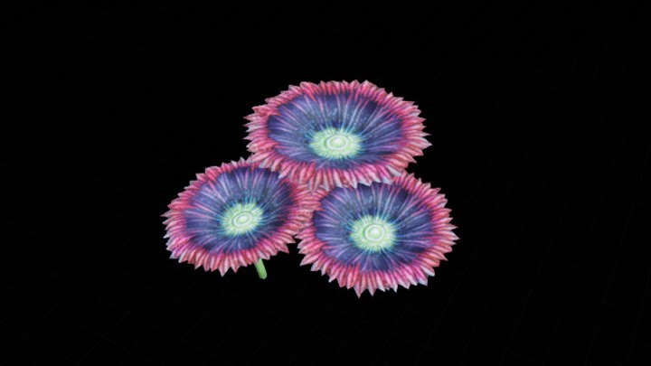 UE项目资源_模型资源_珊瑚丛019