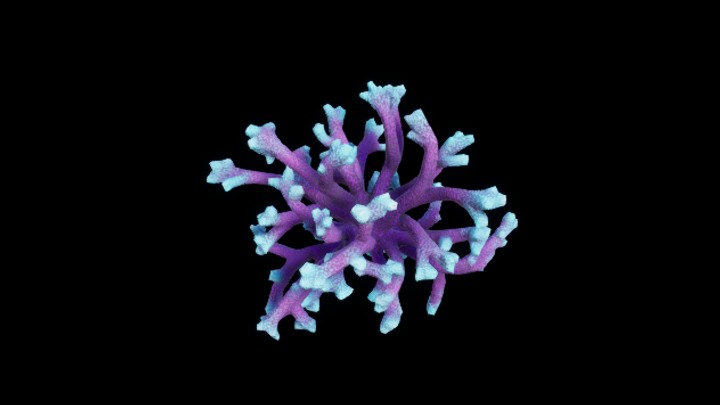 UE项目资源_模型资源_珊瑚丛024